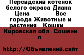 Персидский котенок белого окраса Диана › Цена ­ 40 000 - Все города Животные и растения » Кошки   . Кировская обл.,Сошени п.